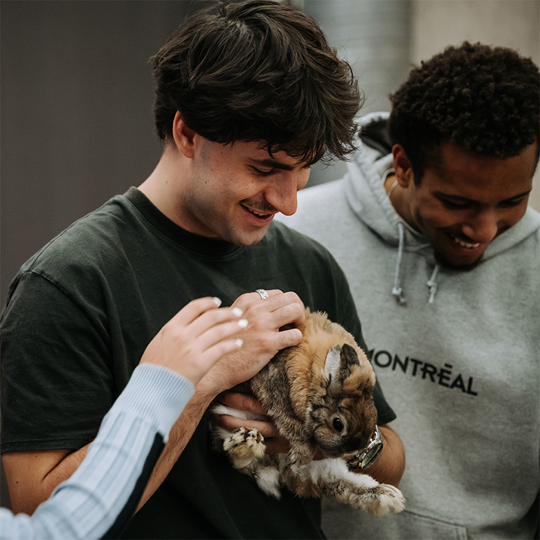 Communauté étudiante - Foire bien-être