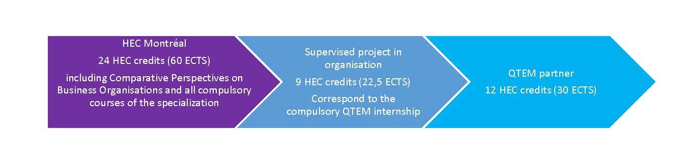 QTEM program structure