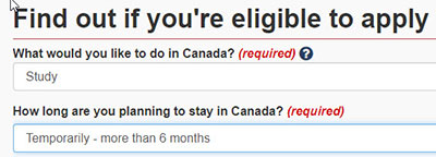 Que souhaiteriez-vous faire au Canada? et Quel est votre statut d'immigration actuel au Canada?