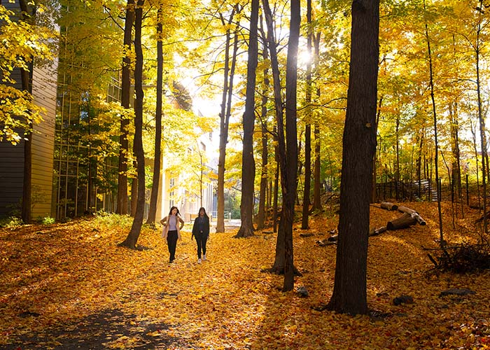 Forest garden of HEC Montréal