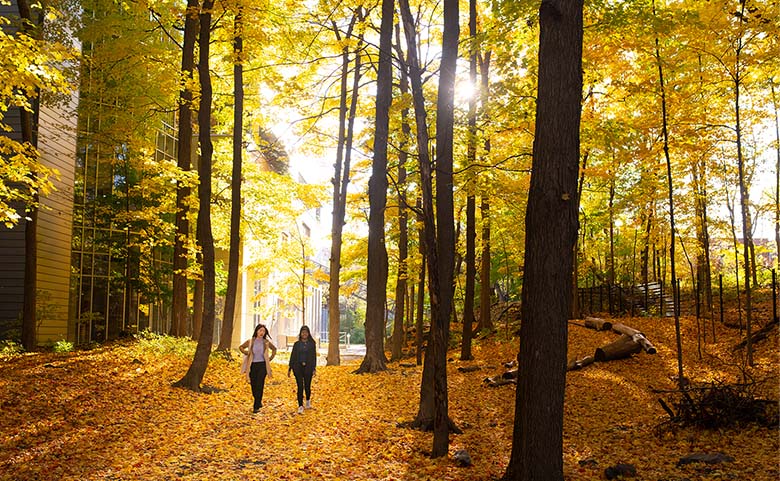 Forêt nourricière de HEC Montréal