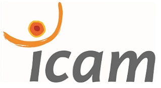 Logo ICAM