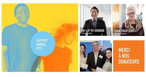 rapport-annuel-2015