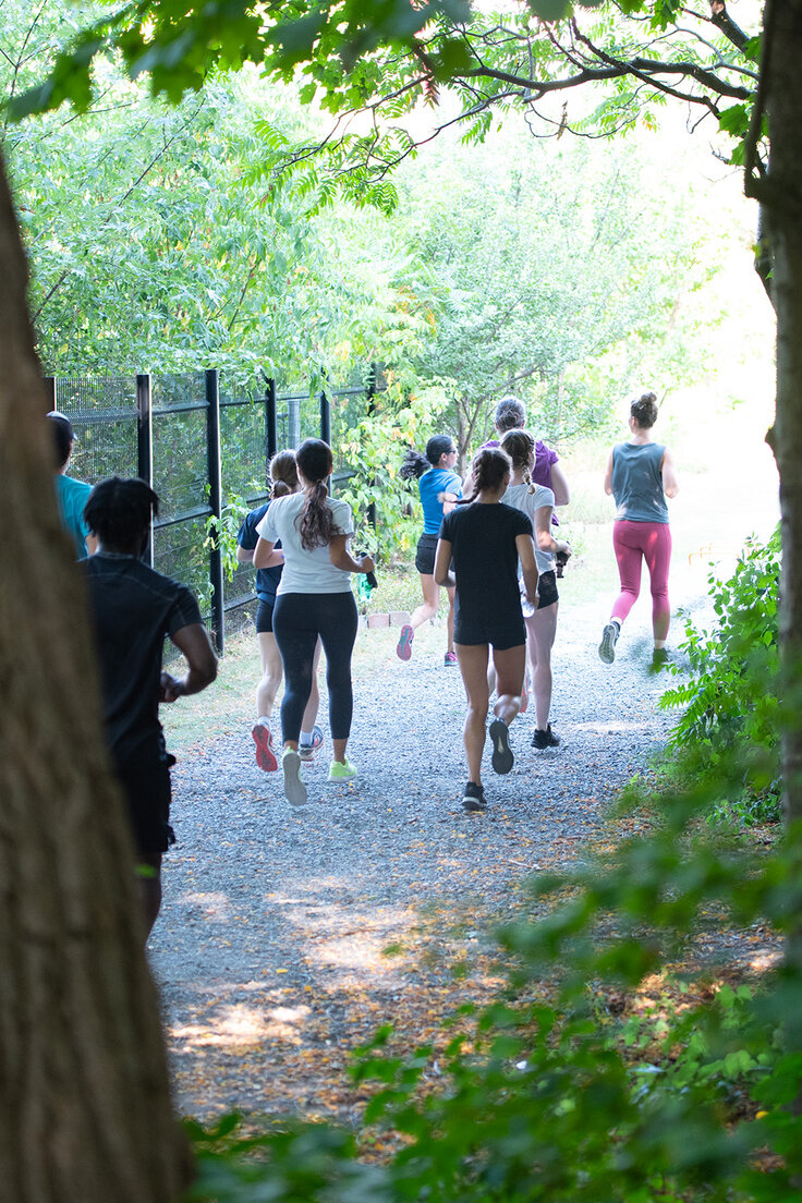 Des étudiantes et étudiants courent sur un chemin de gravier bordé d’arbres sur le campus de HEC Montréal. 