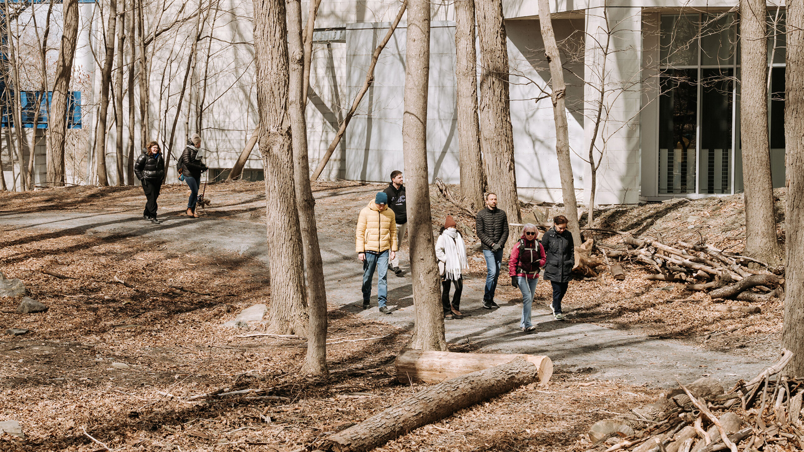 Marche de pleine conscience dans la forêt nourricière de HEC Montréal.