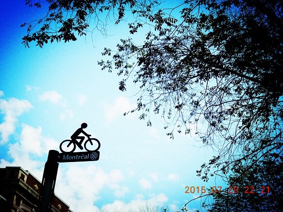 École d’été en français des affaires : 46 étudiants de 16 pays