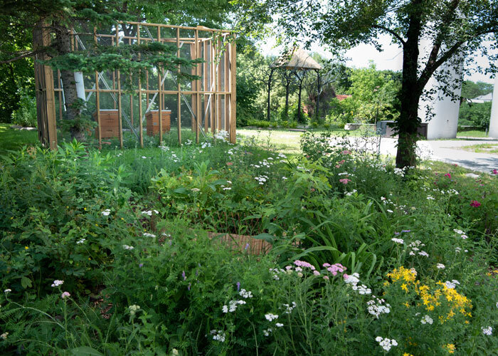 Hectare urbain certifié par Espace pour la vie