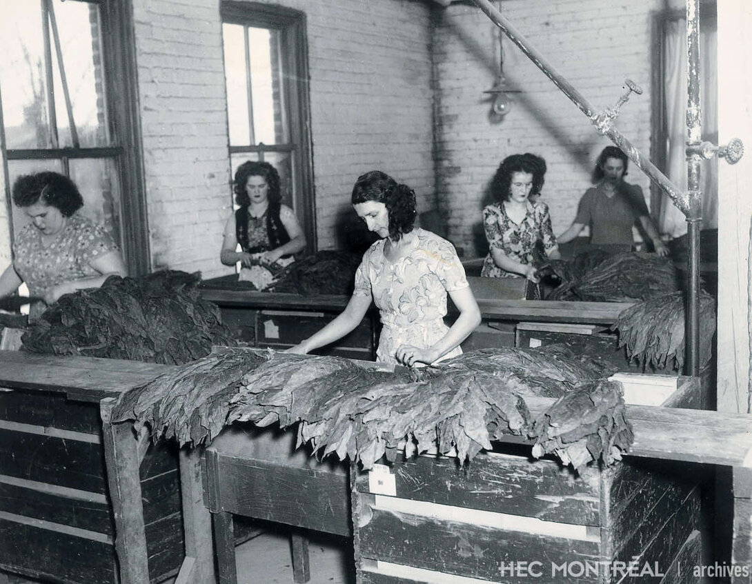   Description : Tri et mesurage des feuilles de tabac dans une usine de Joliette. Date : 1950 Crédit photo : Photographe inconnu Cote archivistique : P012/Z,0002