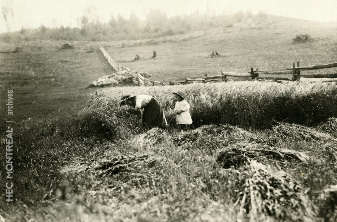   Description : Moisson du blé à la main. Une femme et un enfant lors de la récolte. Date : [avant 1920] Crédit photo : Photographe inconnu Cote archivistique : P062/X,0001