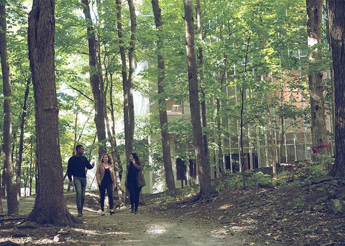 nouvelle 700x500 foret